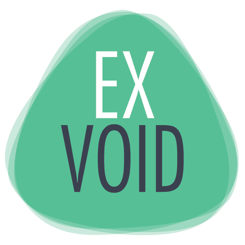 icona exvoid web marketing siti web